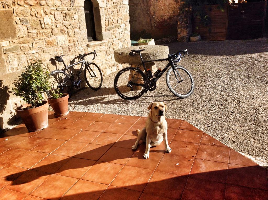 Hotel Mas Pelegri Seriñá Bagian luar foto